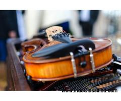 Get a warranty and affordable priced violin in Stradivari Strings.