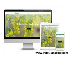 Customized Website Design and Development – Your Vision, Our Expertise