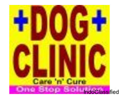 Dog clinic in Jagatpura Jaipur | Dog clinic in Jaipur