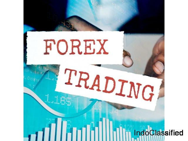 Learn online Forex trading course in India with live charts and trading