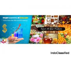 Import Export Institute