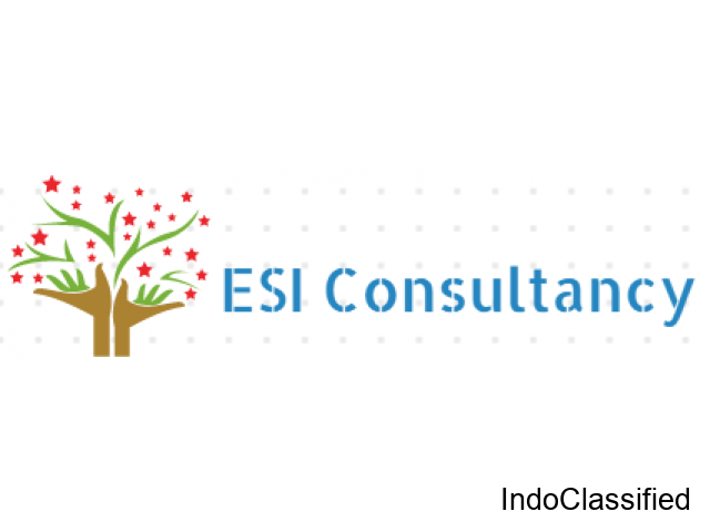 ESI Consultant in Delhi NCR - 1