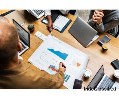 Website Designers in Ludhiana Best Web Developers