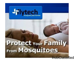 Stay Protected From Chikkungunya and Dengue Fever