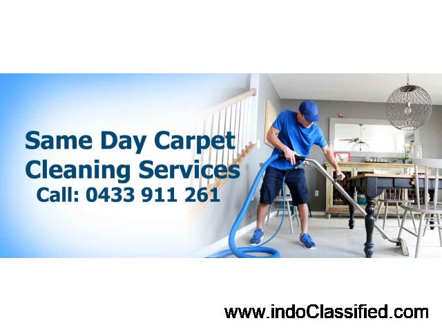 Professional Carpet Steam Cleaning Services - 1