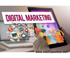 Best digital marketing consultancy in Ludhiana for Better ROI for your Investment