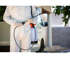 Pest Control in Pune